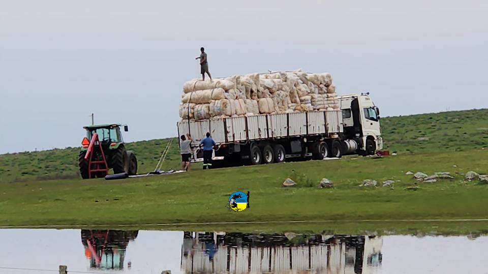 imagen de camión cargado con fardos de lana, se vendieron 160.627 kilos de lana en el mercado local.