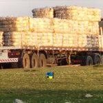 Se vendieron 160.627 kilos de lana en el mercado local