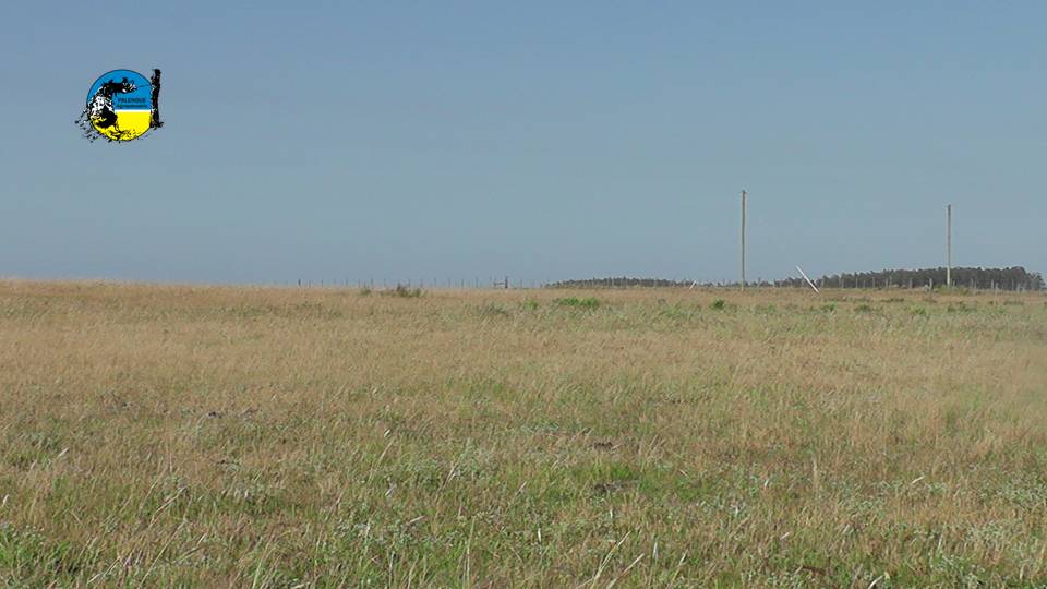IMAGEN DE CAMPO, DIEA presenta los resultados de las operaciones de Arrendamientos Año 2025.
