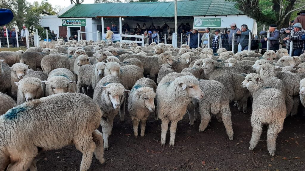 Zapará: Muy buena feria de punta a punta.