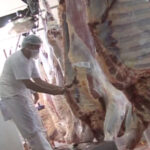 Faena bovina fue de 44.399 cabezas