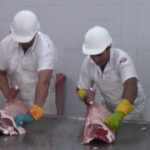 Faena bovina fue de 27.524 cabezas