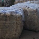 Mercado australiano registró la caída más pronunciada de la zafra
