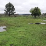 Lluvias mes de octubre 2026