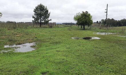 Lluvias mes de octubre 2026