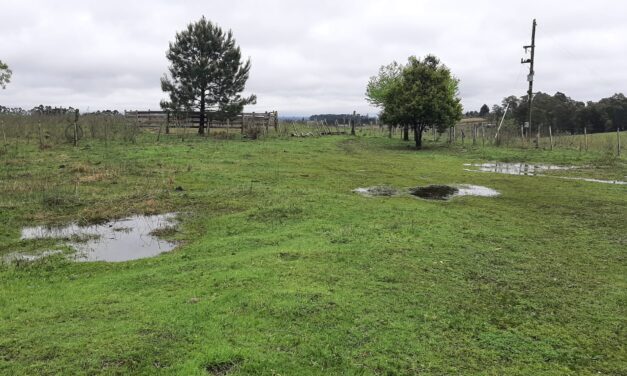 Lluvias mes de octubre 2026