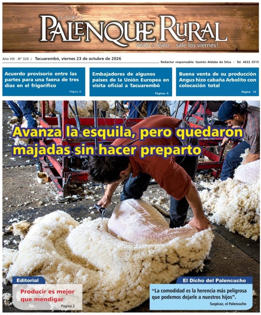 El Palenque Rural: avanza la esquila, pero quedaron majadas sin hacer preparto.