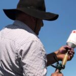 Vacunación obligatoria contra Fiebre Aftosa del 1º al 15 de noviembre